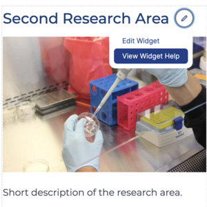 Widget help link is highlighted