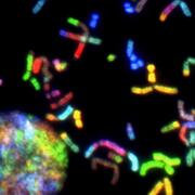 microscopic DNA strands