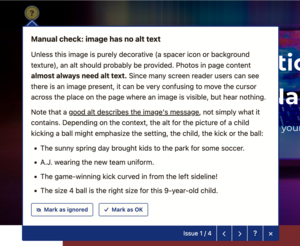 screenshot of Editoria11y alt text warning