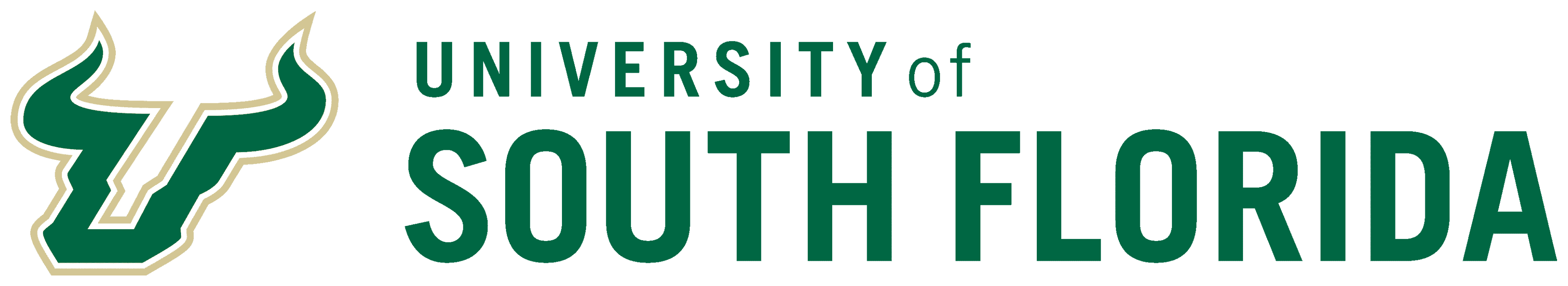 University of South Florida